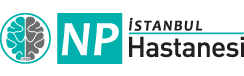 Npistanbul Logo